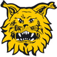 Ilves badge