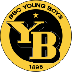 Young Boys badge