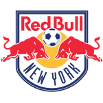 New York RB badge
